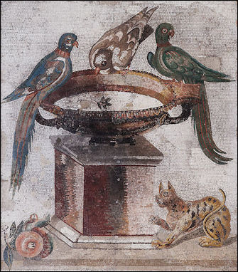 20120227-Mosaic Pompeii Birds_drinking_MAN_Napoli_Inv9992.jpg